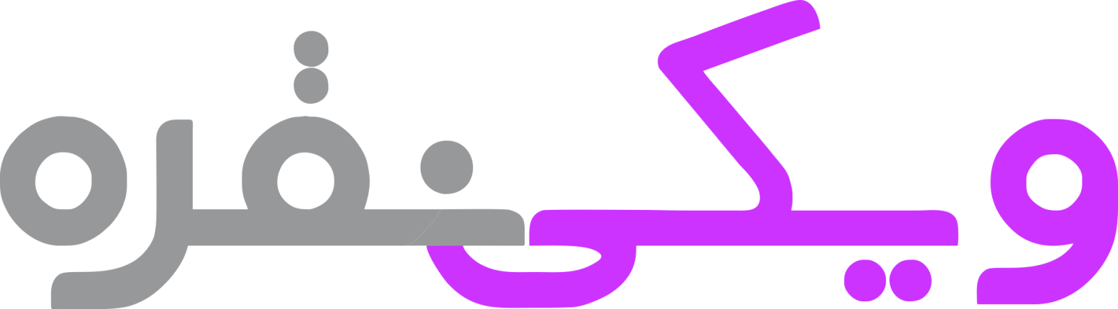 خرید اکسسوری ویکی